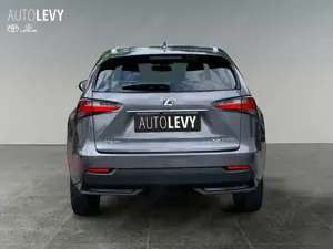 Lexus NX 300 NX300h  Hybrid Executiv *Pano*Sitzhzg*PDC*LED Bild 5