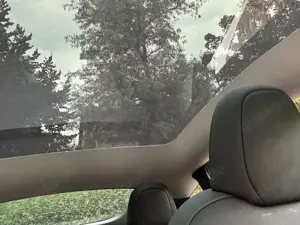 Tesla Model Y Model Y Long Range Dual Motor AWD Bild 4