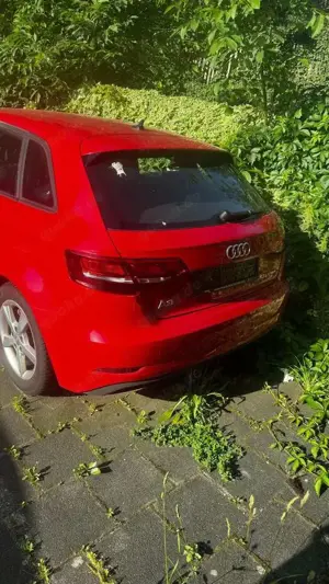 Audi A3 A3 Sportback g-tron 30 g-tron Sportback S Bild 2