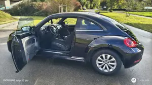 Volkswagen Beetle The Beetle 1.2 TSI Design Bild 2
