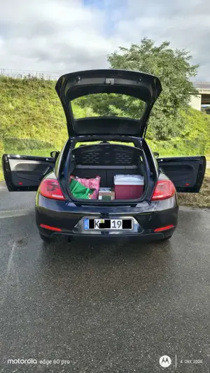 Volkswagen Beetle The Beetle 1.2 TSI Design Bild 5
