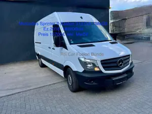 Mercedes-Benz Sprinter 313 MwSt