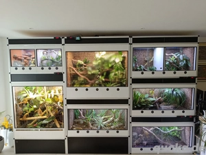 Terrarienbau nach Maß 