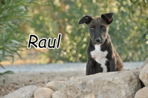 Willst du mir zeigen, wie es ist, geliebt zu werden? 