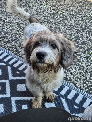 Joy freut sich auf Deinen Besuch 