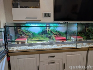 Nagarium 150x50x60 cm gebraucht 