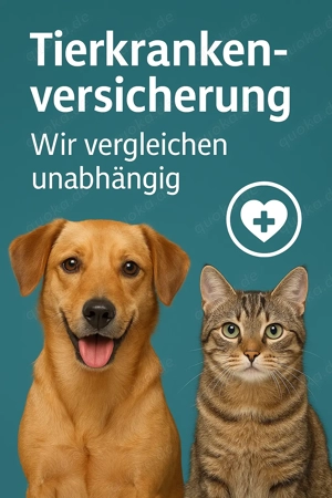  Tierkrankenversicherung   Wir finden die beste Absicherung für euer Tier!