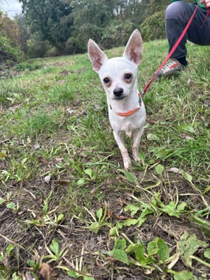 *TIMMI* - Ich bin noch etwas schüchtern und zurückhaltend Bild 5