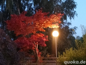 Outdoor 81369 suche Mann der sich gerne sein bestes Stück verwöhnen lass möchte ohne Gegenleistun!!