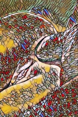 Stream-Partnerin gesucht! (ca. 18-35)