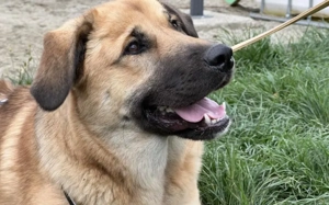 Die tolle Resa wartet auf dich