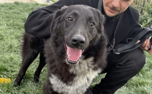 Ivy? voller Energie und Lebensfreude!