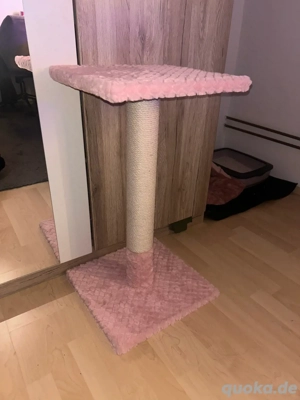 Kleiner Kratzbaum in Rosa  Bild 2 Kleiner Kratzbaum in Rosa  Bild 2