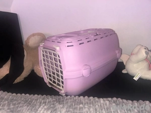 Katzen Transportbox  Bild 2 Katzen Transportbox  Bild 2