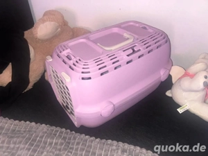 Katzen Transportbox  Bild 3 Katzen Transportbox  Bild 3