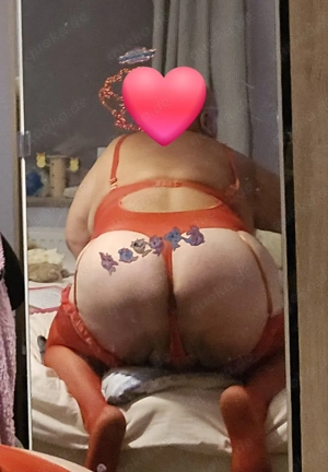 DWT Stute sucht Aktiven Besuchbaren Senior Bild 9