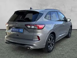 Ford Kuga Plug-In Hybrid ST-Line X PHEV HUD Navi Leder Digit Bild 3