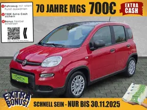 Fiat Panda Pandina Cross SS #PDC #KLIMA