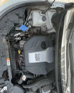 Kia Ceed / cee'd 1.6 T-GDI GT-Track Bild 3