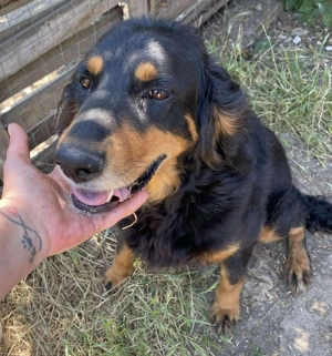 Ein gaaaanz besonders großer Schatz ist  MINKA  