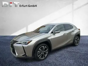 Lexus UX 250h UX 250 h 250h Style Edition ACC+LED+SHZ+Klima