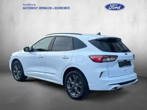 Ford Kuga 2.5 Duratec PHEV ST-LINE X Bild 2