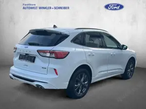 Ford Kuga 2.5 Duratec PHEV ST-LINE X Bild 4