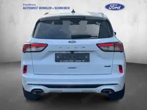 Ford Kuga 2.5 Duratec PHEV ST-LINE X Bild 3