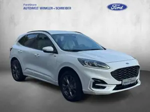 Ford Kuga 2.5 Duratec PHEV ST-LINE X Bild 5