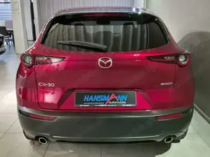 Mazda CX-30 Selection G-122/MT/Keyless/Navi/Head-Up/Matrix-LED Bild 4