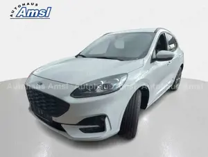 Ford Kuga 1.5 EcoBoost ST-Line X*Navi*RFK*Winterpaket*el.Hec Bild 4