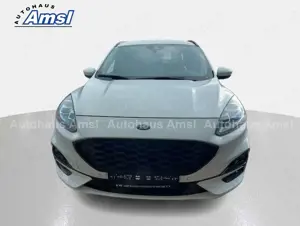 Ford Kuga 1.5 EcoBoost ST-Line X*Navi*RFK*Winterpaket*el.Hec Bild 3