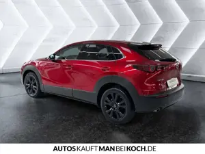 Mazda CX-30 2.0 e-SKYACTIV-G M Hybrid Homura LED HUD SHZ Bild 4