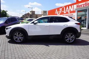 Mazda CX-30 2.0 M-Hybrid Selection LED Navi ACC Kamera Bild 3