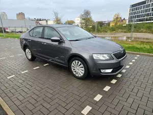 Skoda Octavia Tüv 11.26 Klima Tempomat PDC