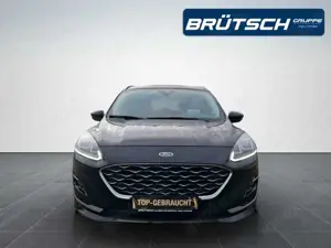 Ford Kuga 2.0 TDCi Vignale AWD / AUTOMATIK / AHK / STHZG / L Bild 5