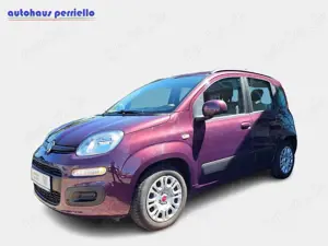 Fiat Panda Lounge 1.2 8V Bild 2