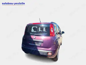 Fiat Panda Lounge 1.2 8V Bild 3