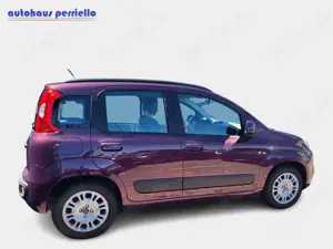 Fiat Panda Lounge 1.2 8V Bild 4