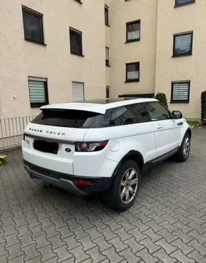 Land Rover Range Rover Evoque Pure Bild 5