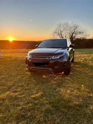 Land Rover Range Rover Evoque Pure Allrad Bild 5