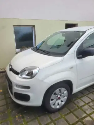 Fiat Panda Panda 1.2 More Bild 2