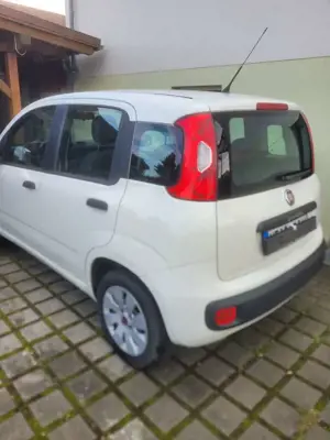Fiat Panda Panda 1.2 More Bild 5