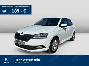 Skoda Fabia 1.0TSI Style Climatr PDC Sitzhzg  APP DAB