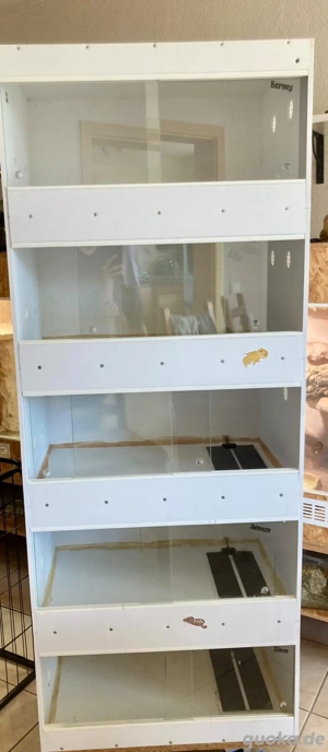 Terrarium Terrarien sehr guter Zustand