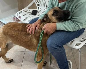 Julian - schenkst du ihm ein Zuhause für immer?