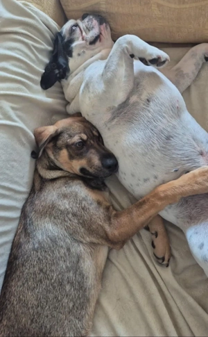 Carry ein entzückendes Mädchen