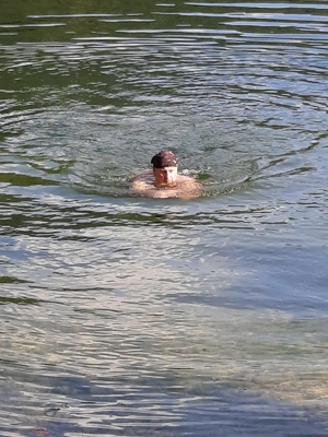 Welche nette Dame möchte sich verwöhnen lassen.....