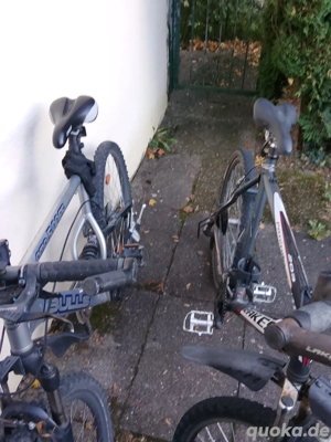 fahhrad zwei fur Erwachsene