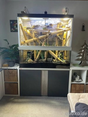 Paludarium   Terrarium